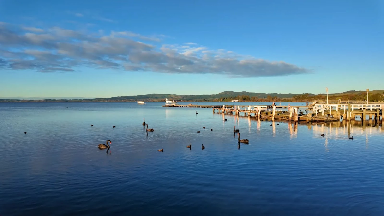 Ultimate Rotorua Adventure Guide: Geothermal Wonders, Thrilling Activities & Cultural Experiences