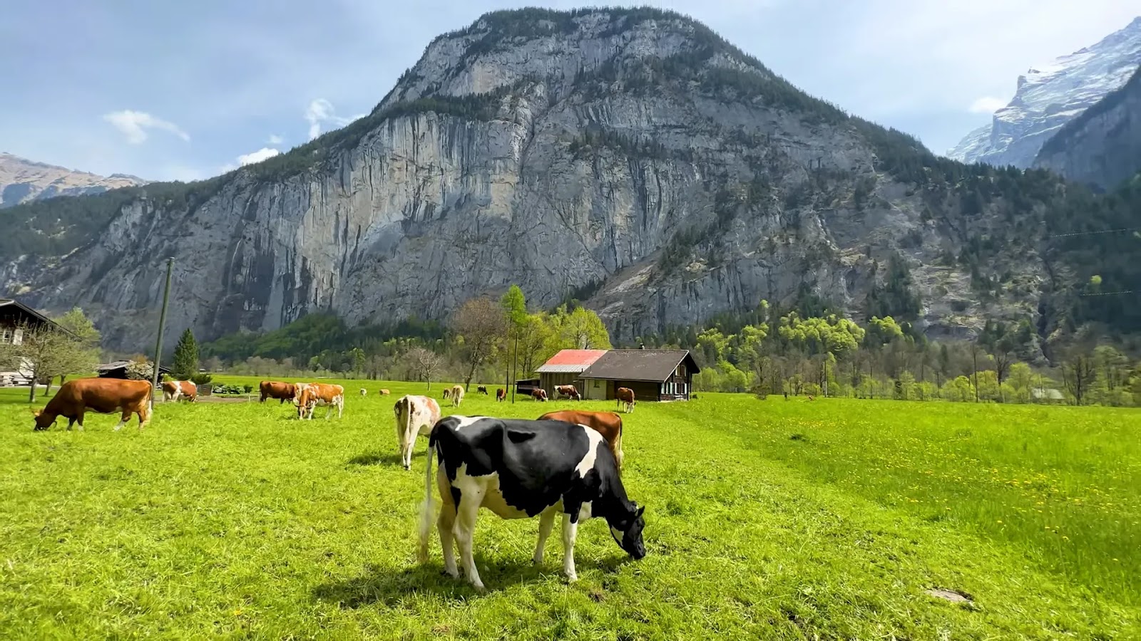 Top 10 Enchanting Destinations to Visit in Switzerland During Spring