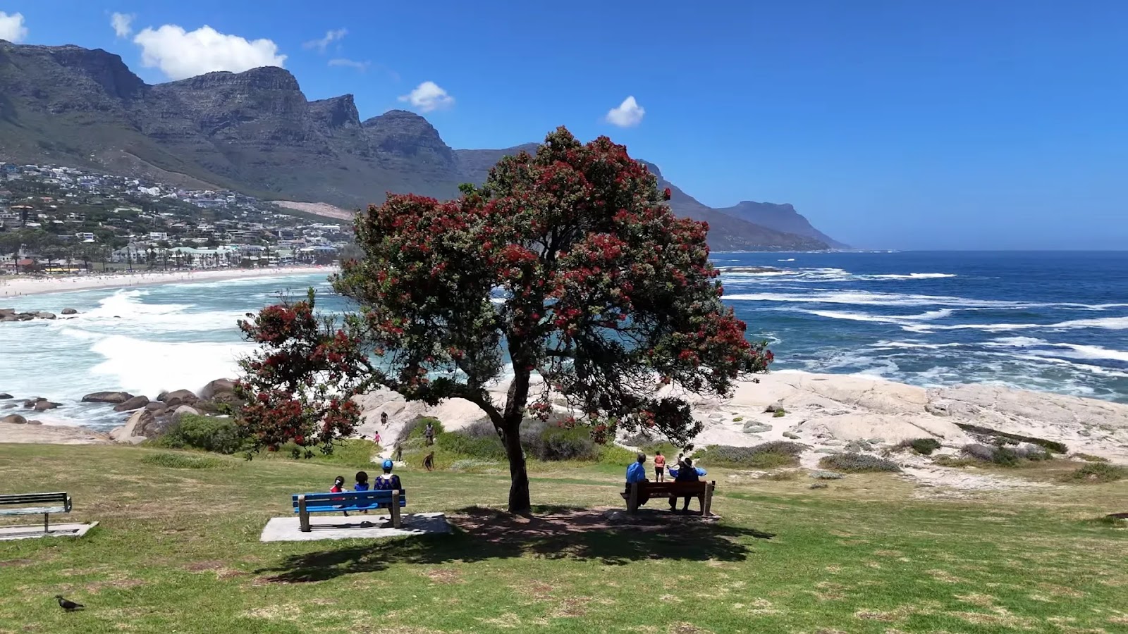 Ultimate Cape Town Travel Guide: Unveiling the Mother City's Hidden Gems