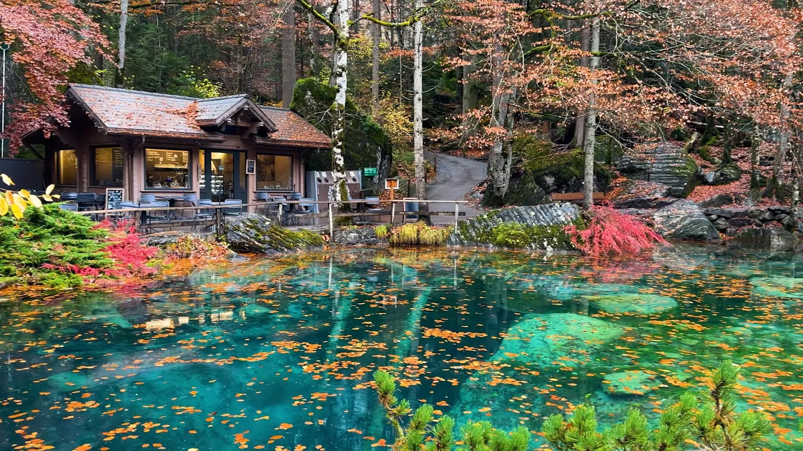 Blausee Switzerland: A Fairytale Lake Travel Guide (Costs, Tips & How to Get There)